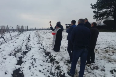 Širom Srbije obeležena vinogradarska slava Sveti Trifun: U RUBINU OREZANI VINOGRADI I ZALIVENI ČOKOTI