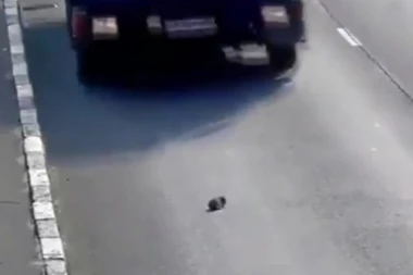 (VIDEO) OVO SE ZOVE SREĆA: Kada pogledate snimak, biće vam jasno zašto je ovo štene najsrećnije na svetu!