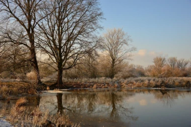 Bacali im u Bojanu crkotinu: Crnogorci besni na Albance zbog ekološke katastrofe!