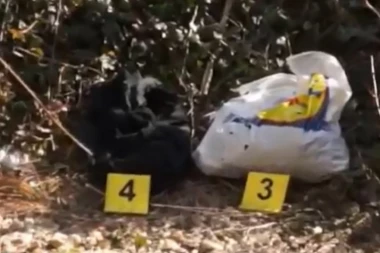 (VIDEO) Pali dileri na Čukarici: Policija zaplenila drogu vrednu 4 miliona, ali to nije sve!