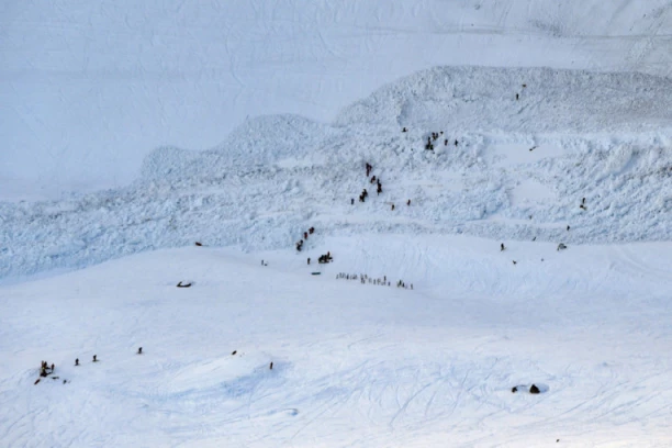 SLOVENIJA TREĆI DAN U MRAKU! Mećava i lavine zavejale državu kao nikad pre