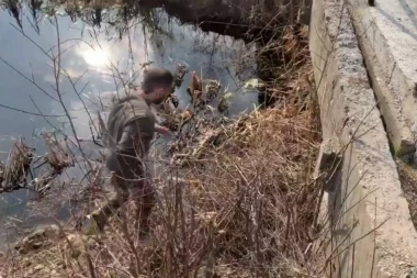 (UZNEMIRUJUĆI VIDEO) Horor kod Pančeva: Iz kanala izvučeno 11 surovo ubijenih pasa!