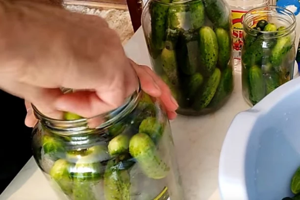 ISKUSNE DOMAĆICE DODAJU JEDAN SASTOJAK U KISELE KRASTAVCE DA SE NE POKVARE: Nikada ne biste ni pomislili na to, a ODLIČAN JE