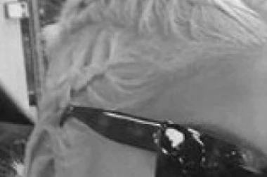 Otkriven uzrok smrti Divne Karleuše: Jelena molila majku da ode kod lekara!