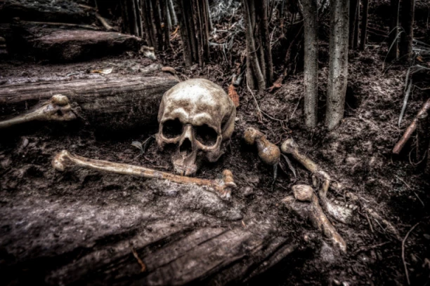 RAZOTKRIVENA MISTERIJA STARA 60 GODINA: Vanzemaljci, ritualno ubistvo ili nešto treće: Šta se krije iza nesreće na Djatlovom prolazu!