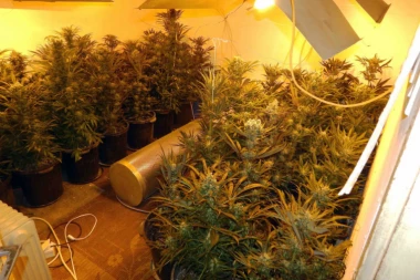 Na robiji proveo 10 godina zbog mučenja starice, a sada je uhapšen sa drogom: Diler i razbojnik iz Bora ponovo iza rešetaka