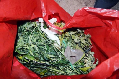 Uhapšen muškarac (42) u Somboru: Policija pronašla MARIHUANU u automobilu!