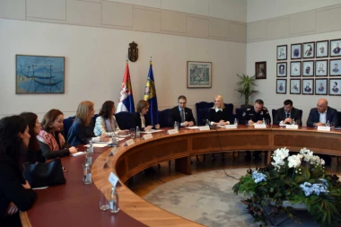 Stefanović: Udario si jednom, dobićeš tešku kaznu, udario si treći put, imaćeš DRAKONSKU kaznu