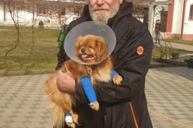 MANASTIR ILINJE JE DOM MNOGIM NAPUŠTENIM ŽIVOTINJAMA: Ko ne voli kučiće, ne mora da dolazi