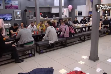 (VIDEO) PISMO VELIKOG ŠEFA U CIK ZORE! Zadrugari u ŠOKU, OVO nisu očekivali: SAD SLEDI HAOS!