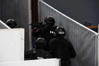 Zajednička vežba pripadnika SAJ, Kobri i američkih "Foka"