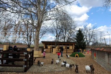 Šta je sa radnicima Zoo vrta? Oni ne mogu da hrane životinje od kuće