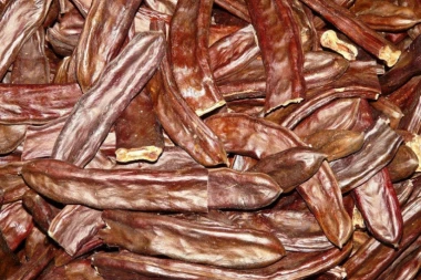 MELEM ZA CREVA I UBICA RAKA: Rogač krije mnoge tajne za koje malo ljudi zna