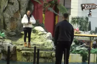 (VIDEO) Najveća svađa Ane i Davida do sad: Koraćeva ne može da pređe preko ovoga?!
