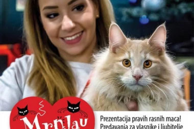 DRUŽENJE SA LJUBIMCIMA: Dođite na Mrnjau reviju rasnih maca