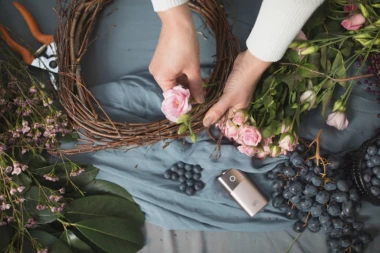 Ove biljke MORATE IMATI U SVOM VRTU! Ono sto vam mogu doneti je apsolutno neverovatno, mirisa će biti na svakom koraku