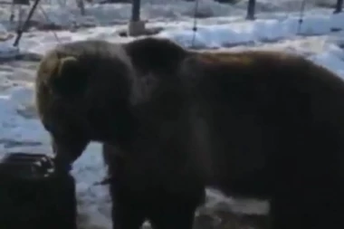 USVOJILI GA PILOTI KAO BEBU: Meda Mansur postao ljubimac ruskog aerodroma