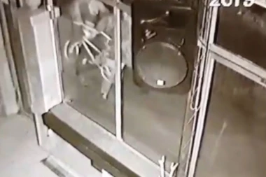 (VIDEO) 'APSI BANDU: Vandali napravili haos u Jagodini