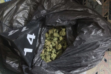 KRAJ DILERSKOJ BANDI: Osmorica uhapšeni u akciji policije iz Niša, Zaječara i Prokuplja