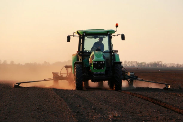 SRBIJA SIGURNO NEĆE BITI GLADNA: Evo koliko je MILIONA TONA pšenice rodilo prošle godine