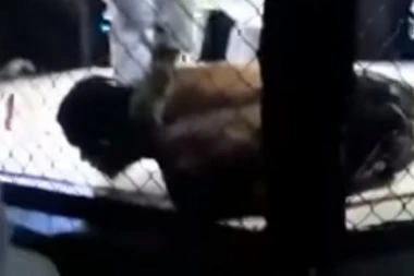 Jezivo: MMA borac preminuo posle borbe!