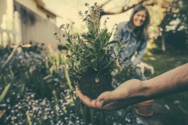 VREME ZA PROLEĆNE RADOVE U VRTU: Mali baštenski trikovi za uspešno uzgajanje biljaka