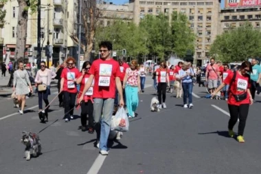 SA PSOM NA MARATON: Ne propustite šetnju odgovornih vlasnika pasa