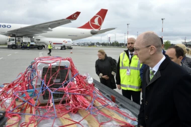 (FOTO) Dobrila vraćena u Srbiju: Evo kako je dočekana zaštićena vrsta ptice na beogradskom aerodromu