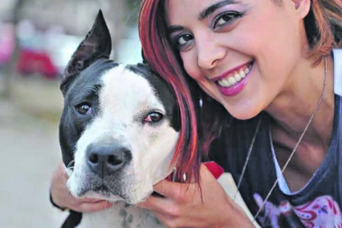 Ministarstvo usvojilo našu inicijativu: Zlostavljačima životinja i do dve godine zatvora!