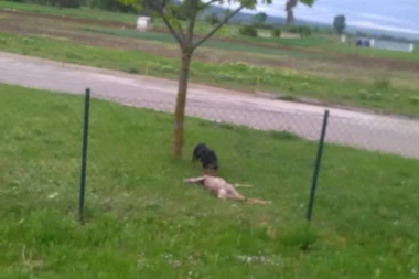 (FOTO) Nevino stvorenje brutalno ubijeno