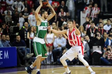 Sin Zvezdine legende podgrejao priče: Voleo bih da igram u klubu u kome se moj otac proslavio!