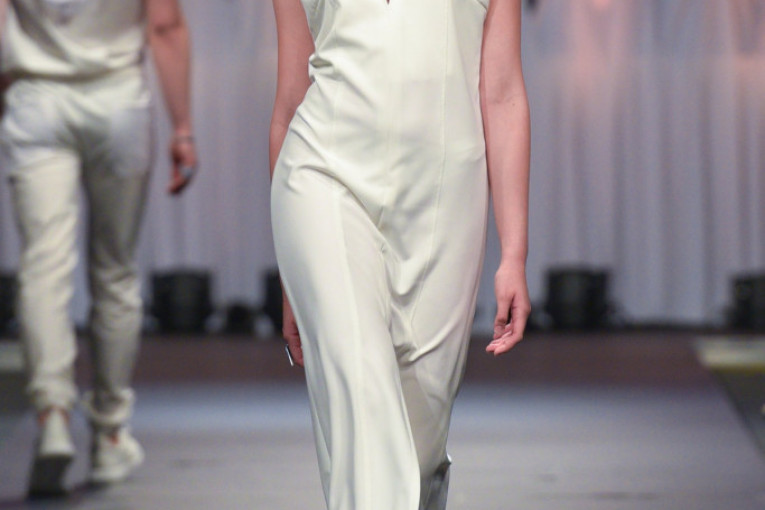 Model Nemanje Pantelića