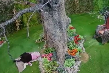 (VIDEO) Za nju je rijaliti gotov: Zadrugarka pala u depresiju, spava kod drveta, odbija da jede i pije!