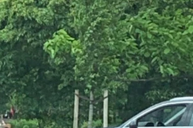 (FOTO) Iživljavanje i bahatost na delu: Đilasovi i Tadićevi saradnici voze samo "audi" i to ne bilo koji!