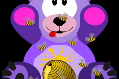 Meda pojeo sav med i polupao sve košnice