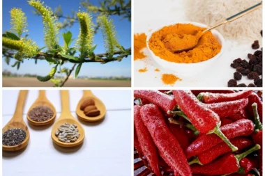 BILJKE KAO LEK: Ovo su 6 prirodnih zamena za aspirin i ibuprofen!