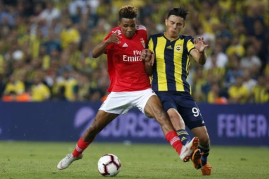 Makedonac na meti Napolija!