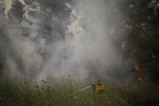 NA JUGU RUSIJE DIVLJAJU POŽARI: Vatra besni, zahvatila više od 700 hektara šume, u gašenju učestvuju 462 vatrogasca!