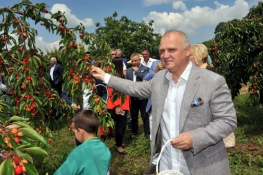 Vesić na festivalu "Trešnja": Poljoprivreda je najveća razvojna šansa Beograda