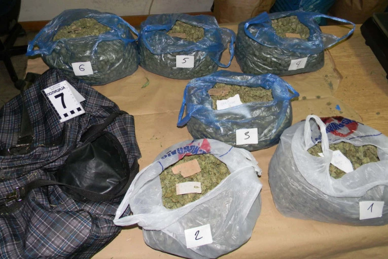 PRITVOR ZA DILERA IZ MAJDANPEKA: Našli mu 212 grama marihuane i "prljav" keš