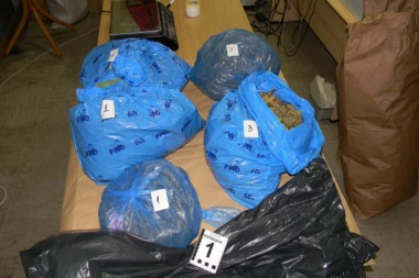 DILER IZ BEOGRADA UHAPŠEN U KRALJEVU: Zaplenjeno 11 kilograma marihuane