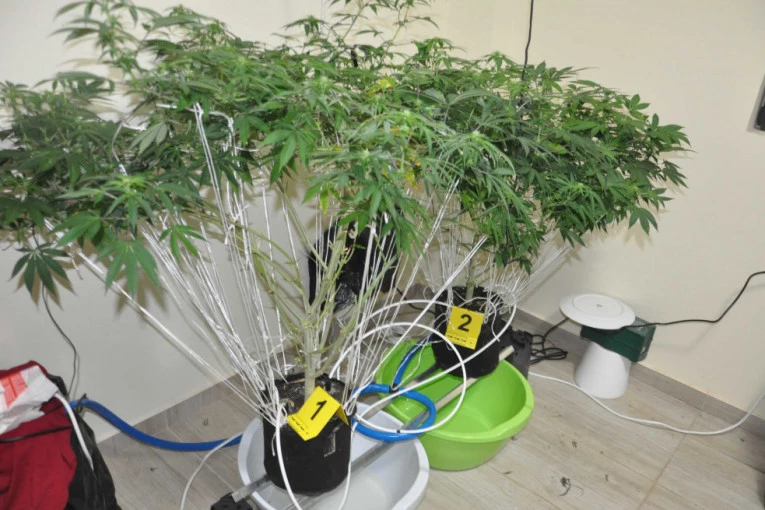 DILERIMA IZ BEOGRADA PO PET GODINA ZATVORA: Apelacioni sud doneo pravosnažne presude