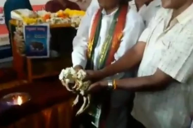 (VIDEO) LUDILO NEMA GRANICE: Venčali dve žabe, pa ih poslali na medeni mesec?!