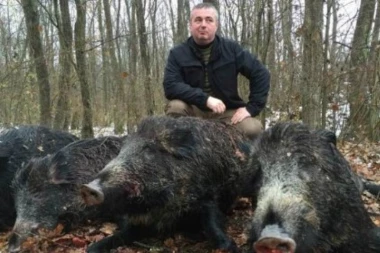 (FOTO) STRAVIČNO: Bajatović tamani divlje svinje