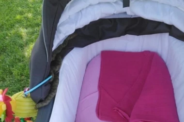 Jeziva fotografija sa novosadskog Štranda šokirala Srbiju: Zmija se zavukla u dečja kolica