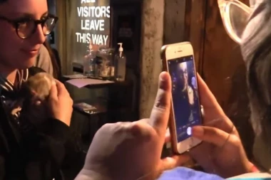 (VIDEO) BIZARNO: Otvoren prvi kafić za ljubitelje pacova