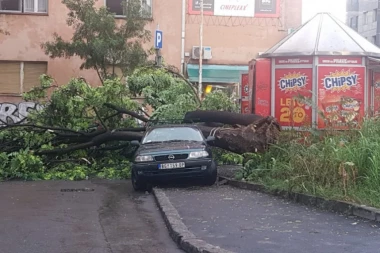 (FOTO) AL' ĆE DA BUDE KUKU LELE: U nevremenu palo drvo i oštetilo auto