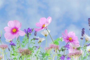 Od danas i zvanično počinje leto