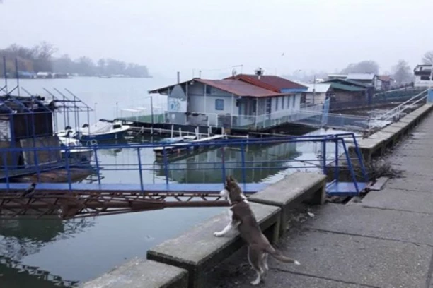 KONOBARI KAO UTVRĐENJE DA BRANE DOK SE VLASNIK KRIJE I NE OGLAŠAVA! Splav "Gusar" nepropisano posluje - morala čak POLICIJA da interveniše! (VIDEO)