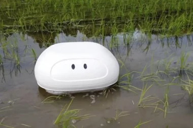 (VIDEO) GENIJALNO! Robot "patka" čuva pirinčana polja od korova